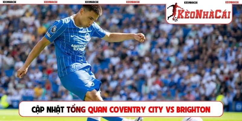 Cập nhật tổng quan trước trận Coventry City vs Brighton
